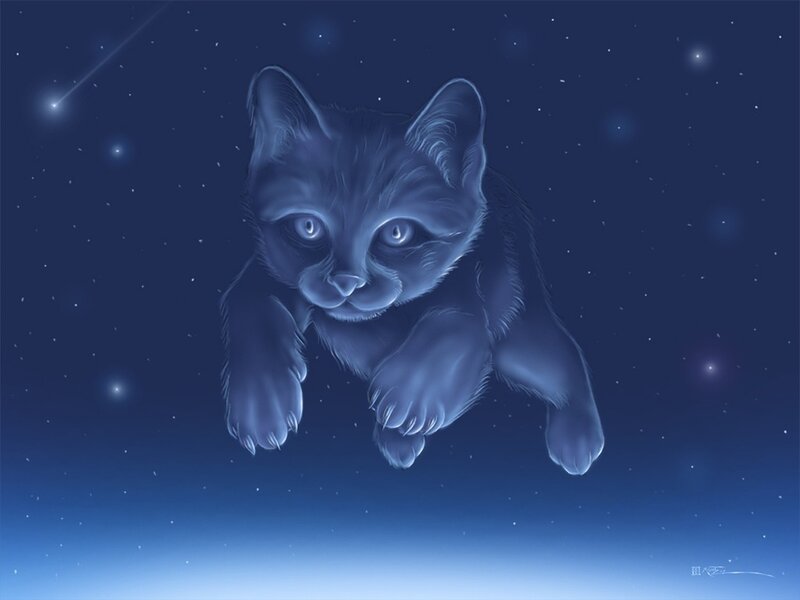 Blue Cat in Space