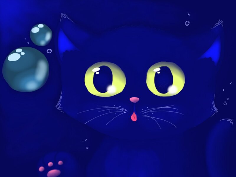 Blue Cat Underwater