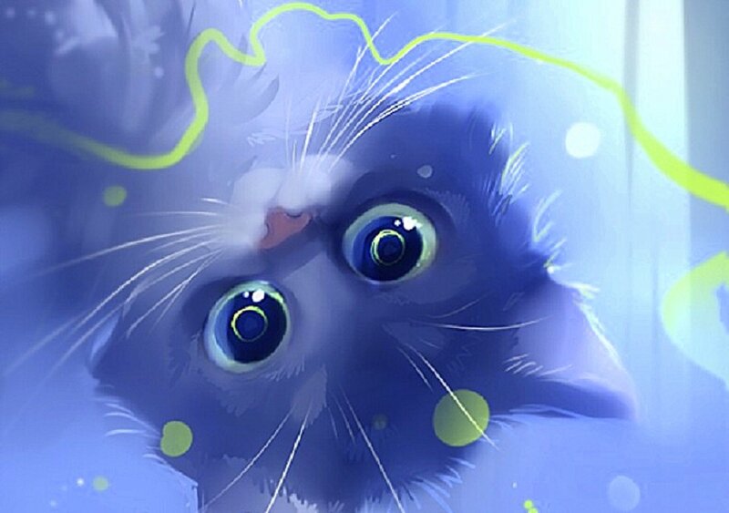 Blue Cat with Large Eyes