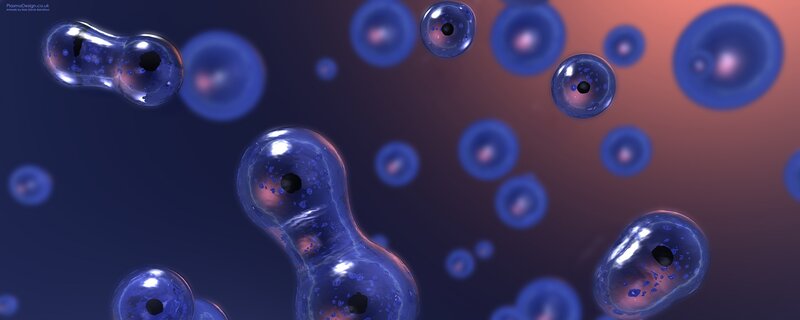 blue cells in a fluid medium