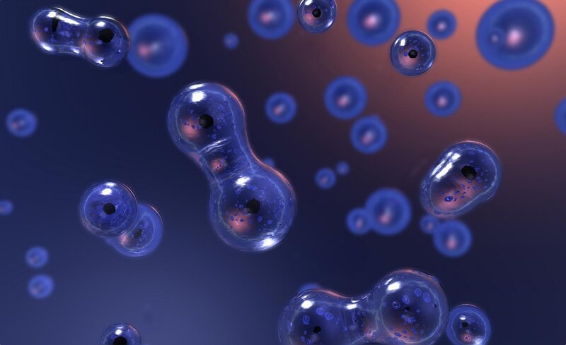 Blue Cells under Microscope