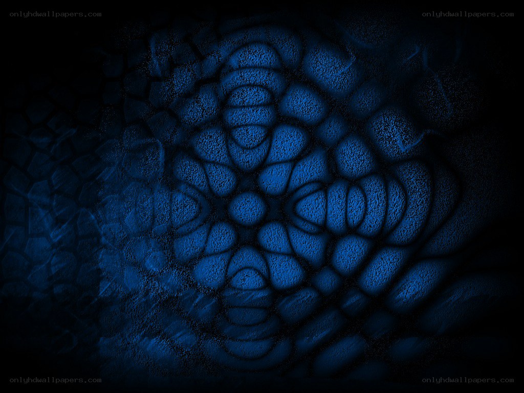 blue cellular pattern texture