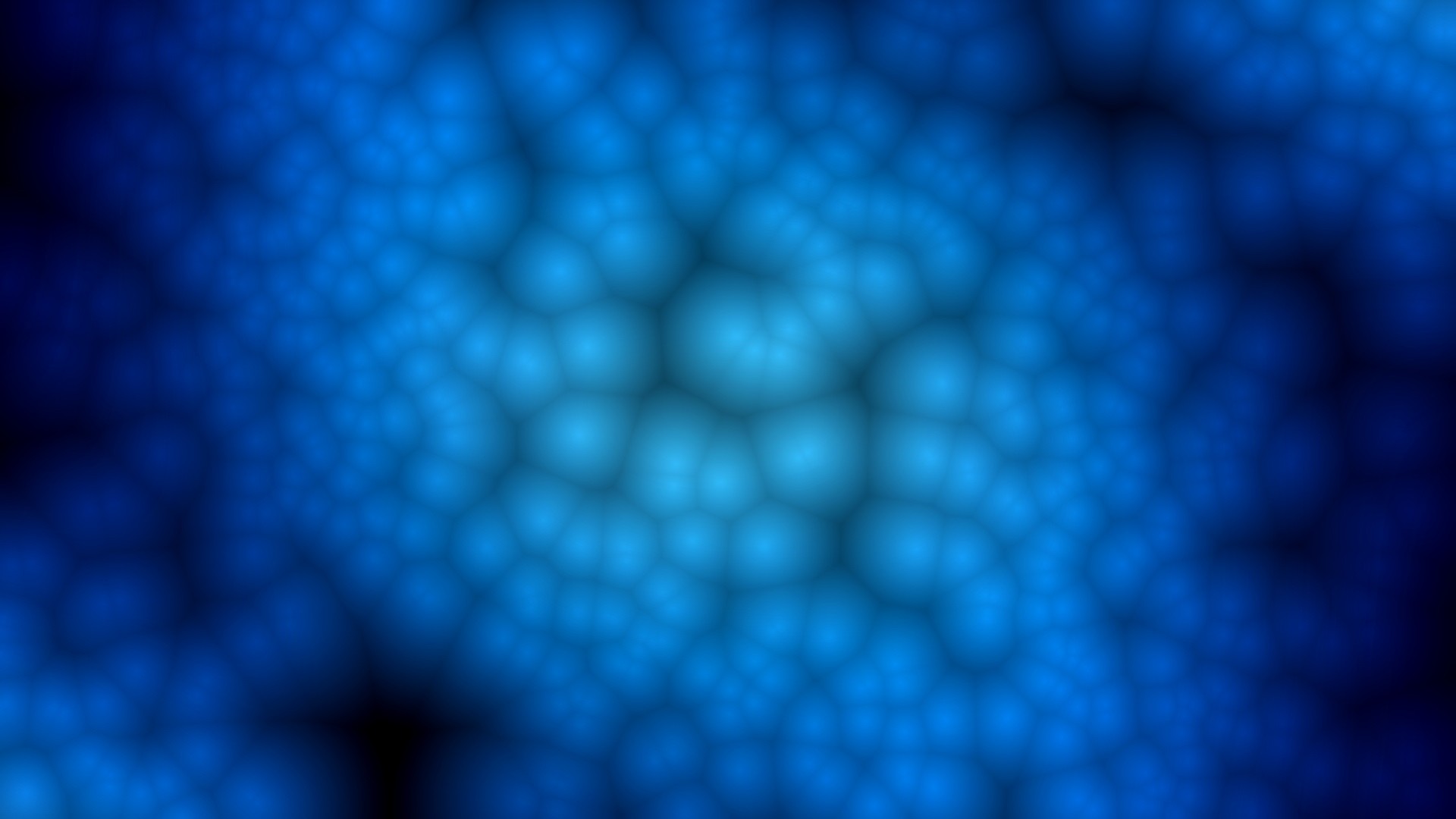 blue cellular pattern