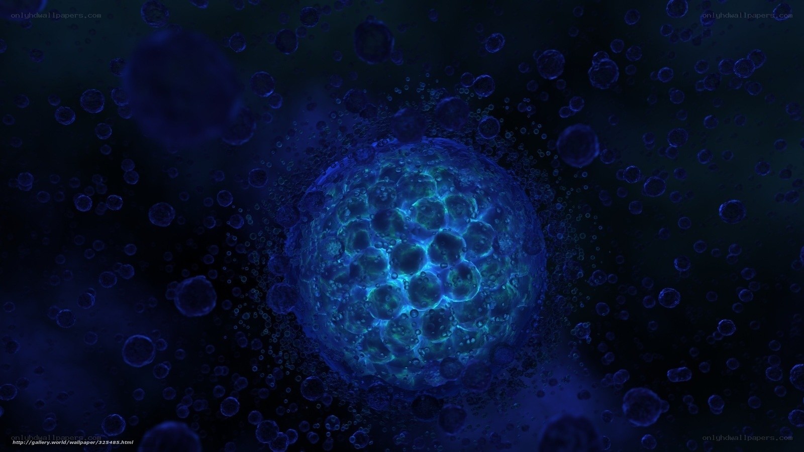 blue cellular structure