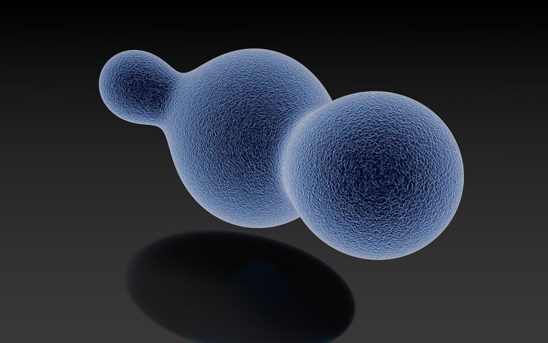 Blue Cellular Structure — Neutral
