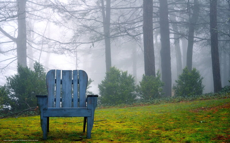 Blue chair in foggy forest