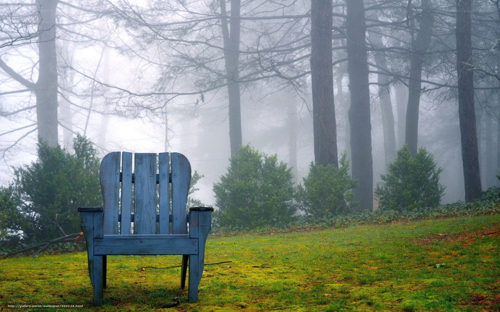 Blue chair in foggy forest