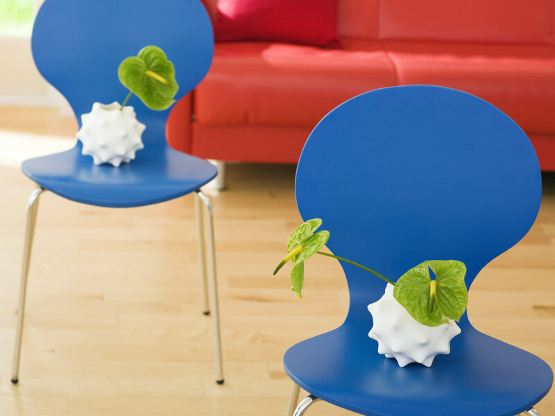 Blue Chairs with Flowers