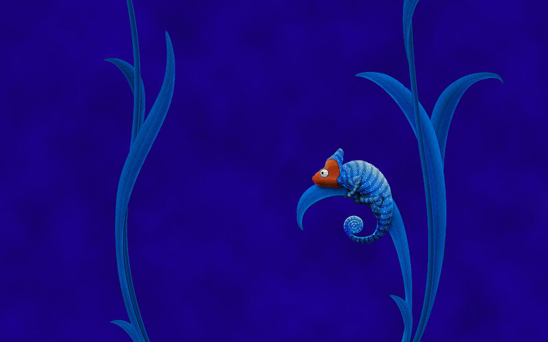 blue chameleon on leaf