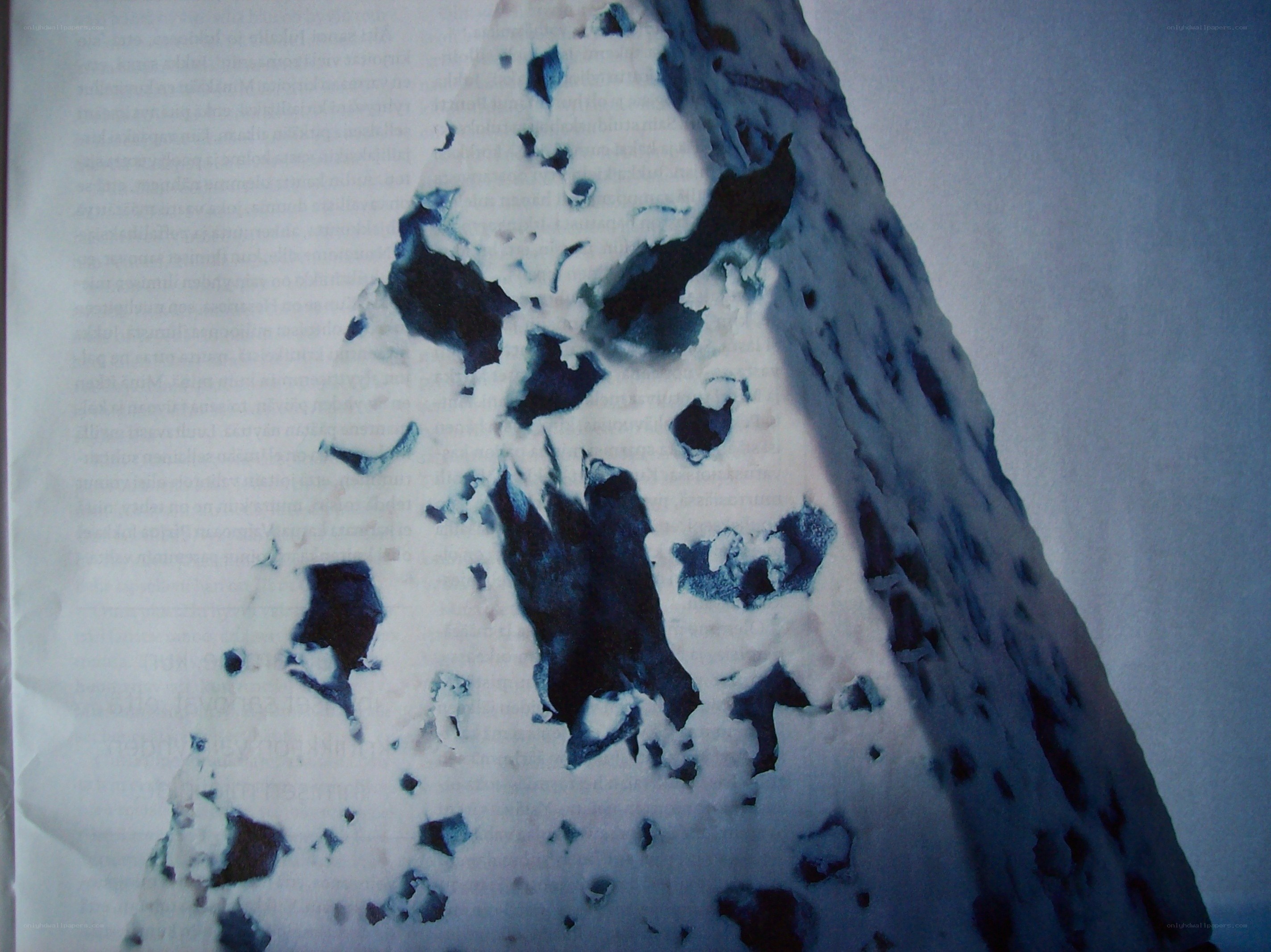 blue cheese wedge on paper