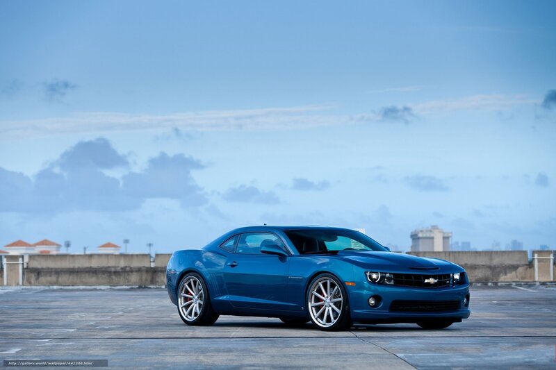 Blue Chevrolet Camaro — Calm, Afternoon, Photograph, Car, Sky