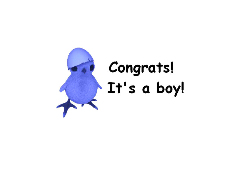 Blue Chick with Eggshell