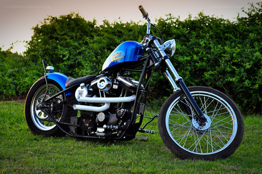blue chopper motorcycle on grass