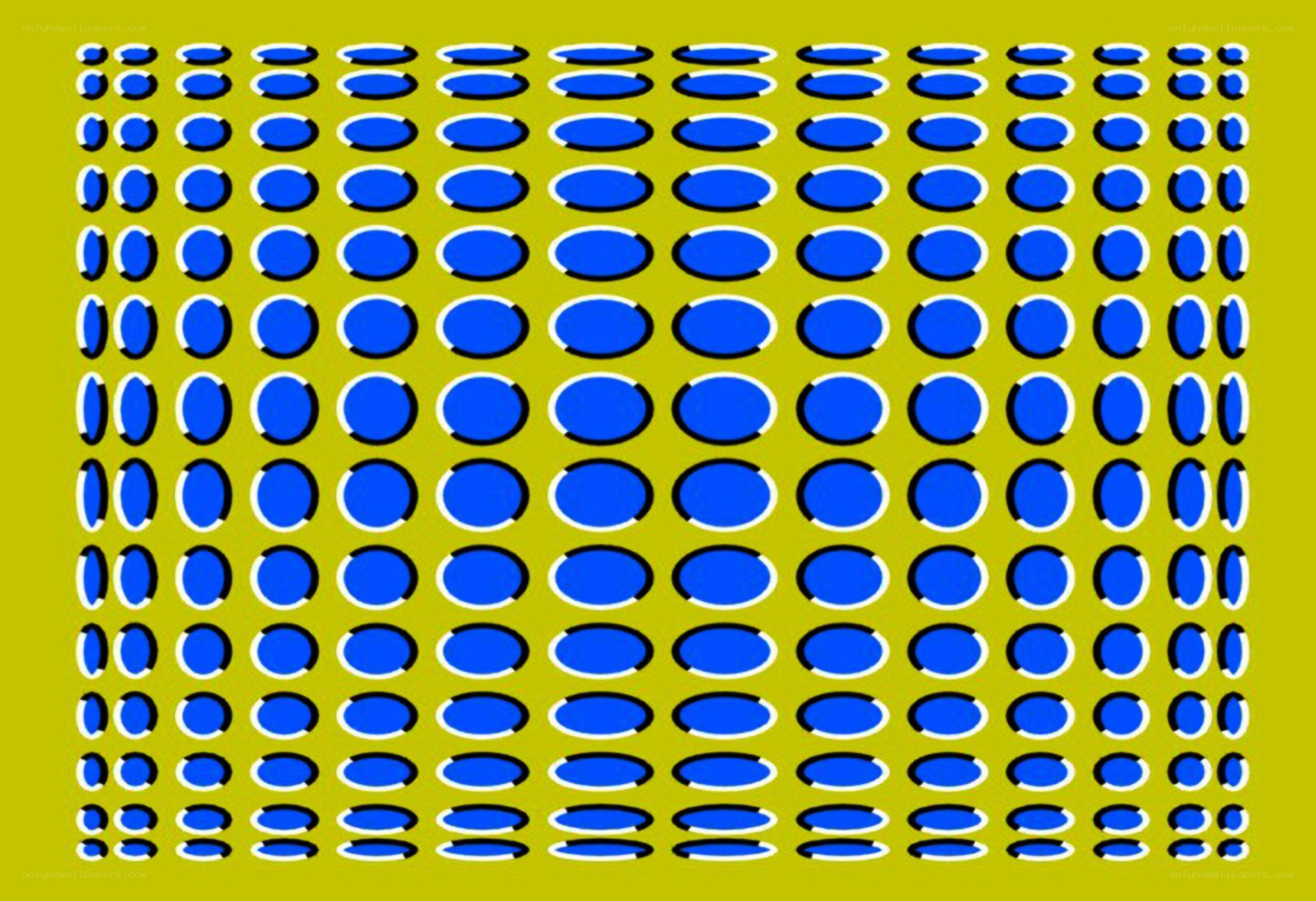 blue circles optical illusion