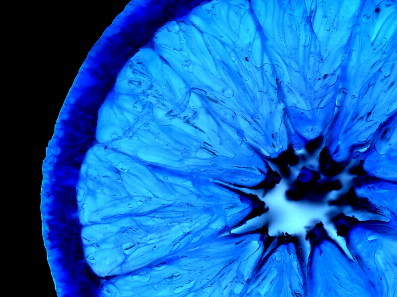 blue citrus slice cross-section