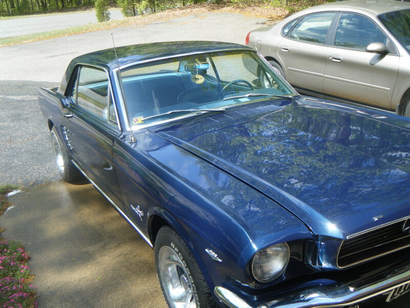 Blue Classic Car — Calm, Afternoon, Photograph, Road, Trees, Flowers