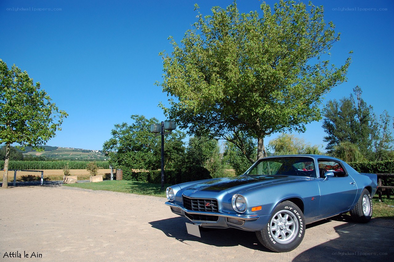 Blue classic car in a rural setting