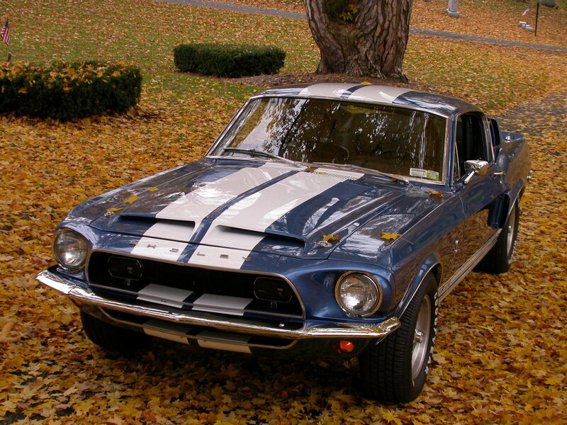 Blue Classic Muscle Car — Calm, Autumn
