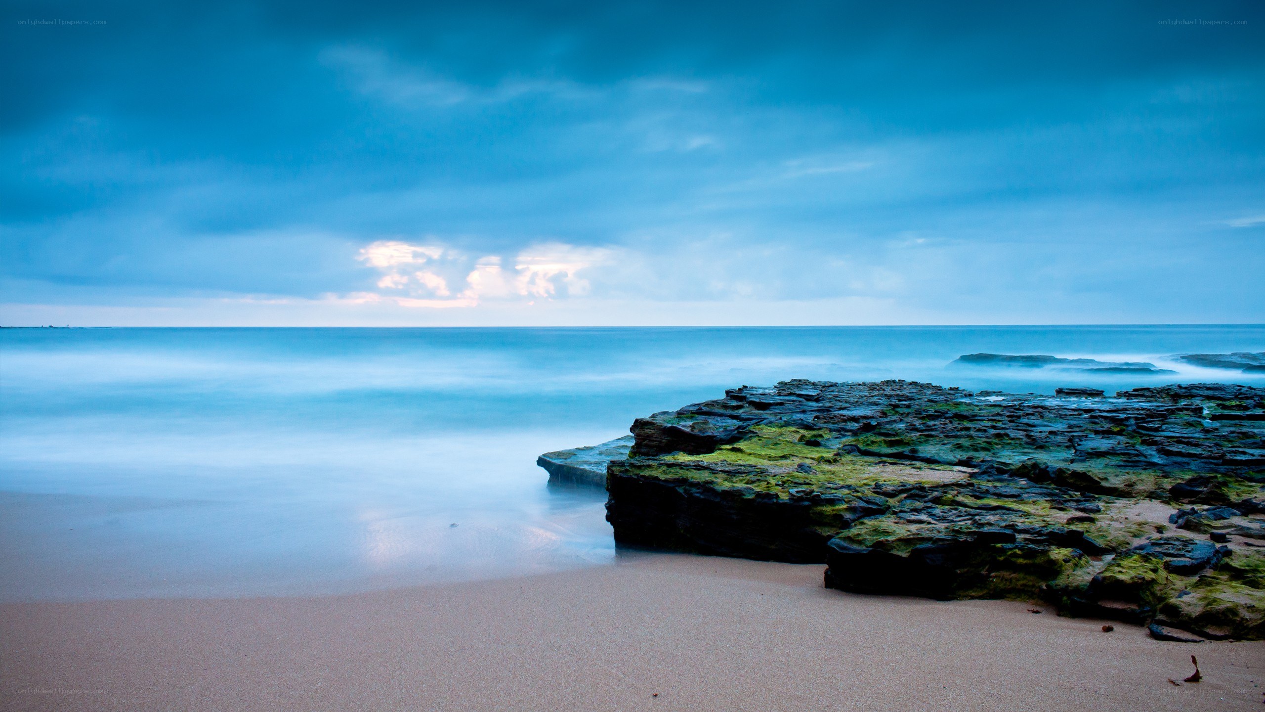 Blue coastal landscape at dawn