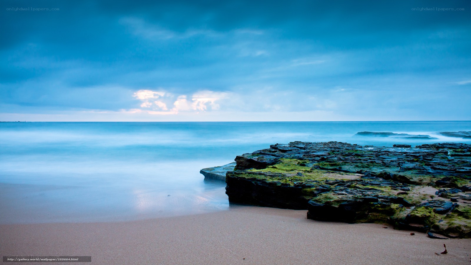 Blue coastal landscape at dawn