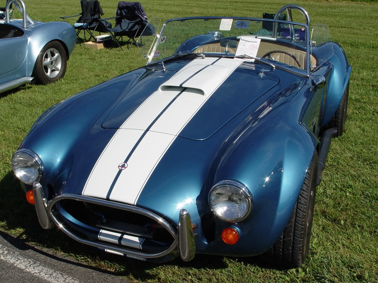Blue Cobra with white stripes