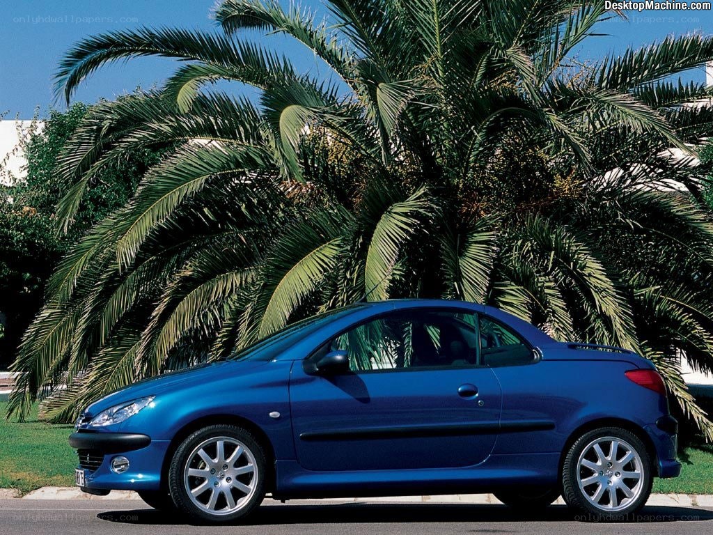 Blue convertible car under palm trees