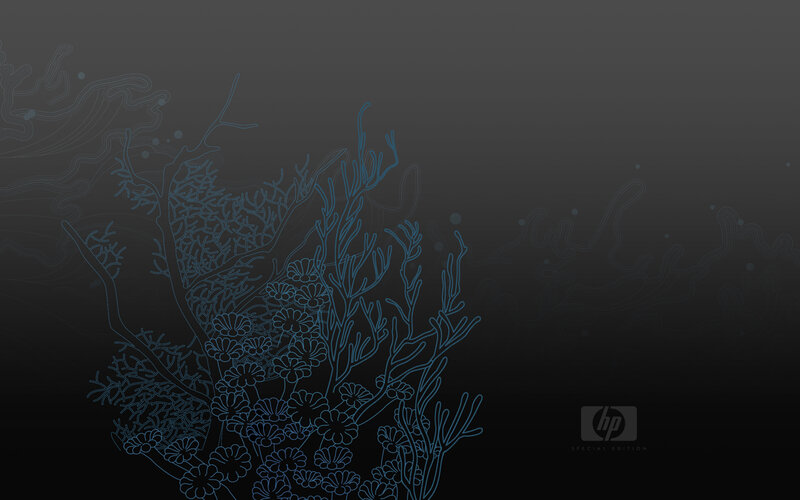blue coral illustration