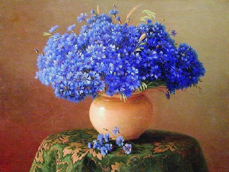 Blue cornflowers in a vase