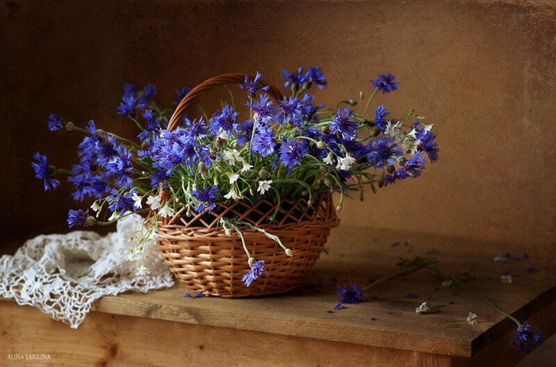 Blue Cornflowers in Basket — Brown, Serene