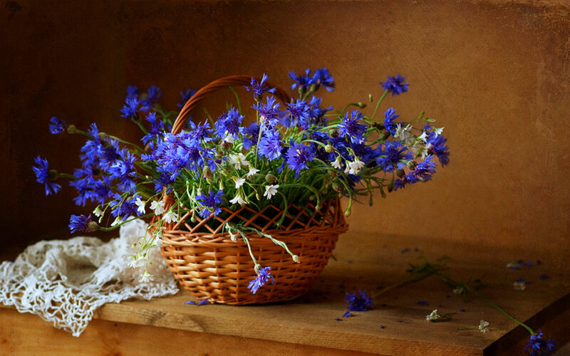 Blue Cornflowers in Basket — Brown