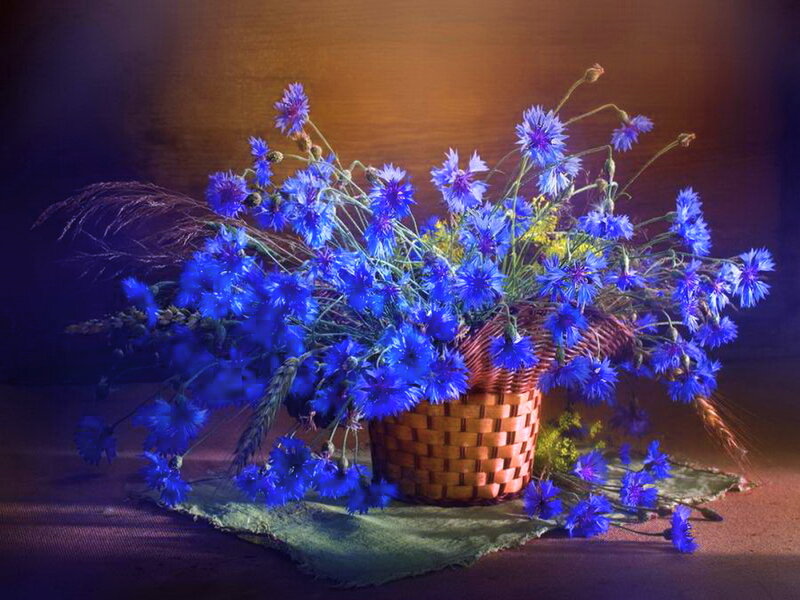 Blue Cornflowers in Basket