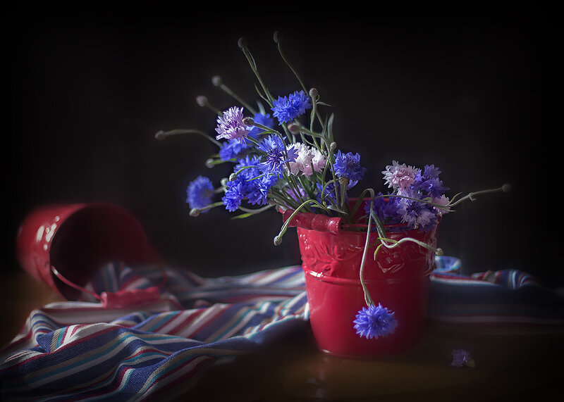 Blue Cornflowers in Bucket