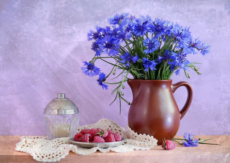 Blue Cornflowers in Pitcher