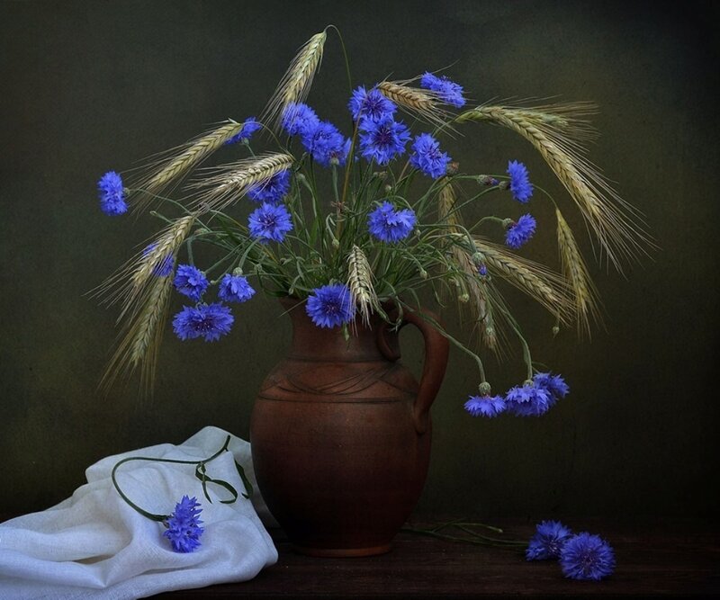 Blue Cornflowers in Vase — Brown