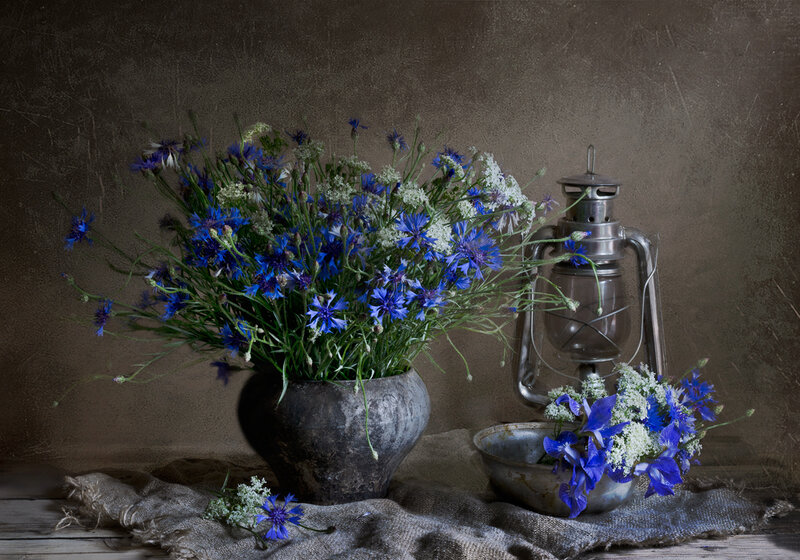 Blue Cornflowers in Vase — Calm, Photograph, Lantern