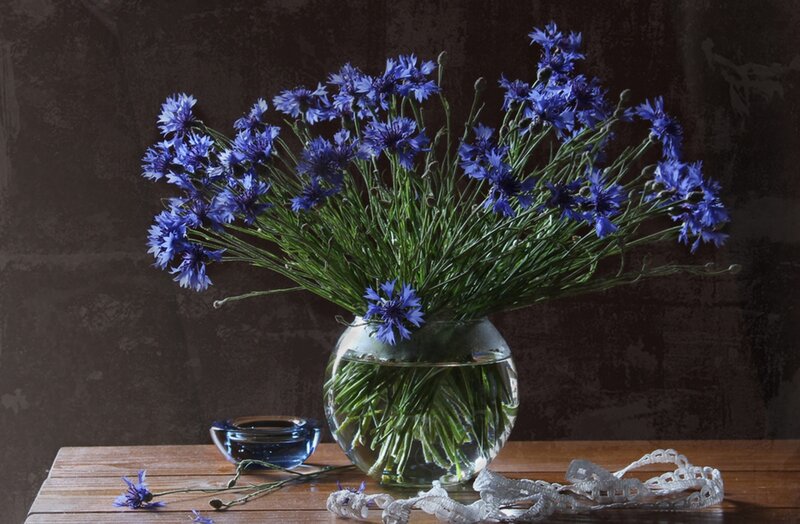 Blue Cornflowers in Vase — Calm, Photograph, Table