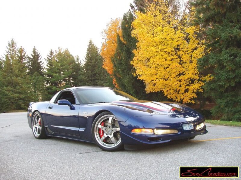 Blue Corvette Car — Calm, Autumn