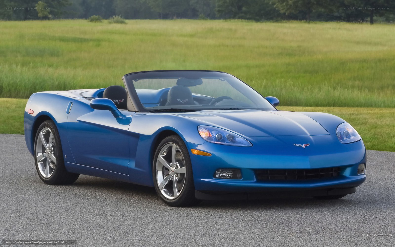 Blue Corvette convertible on road