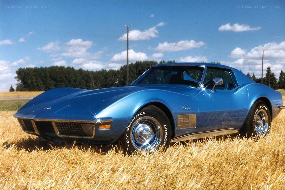 Blue Corvette in a field