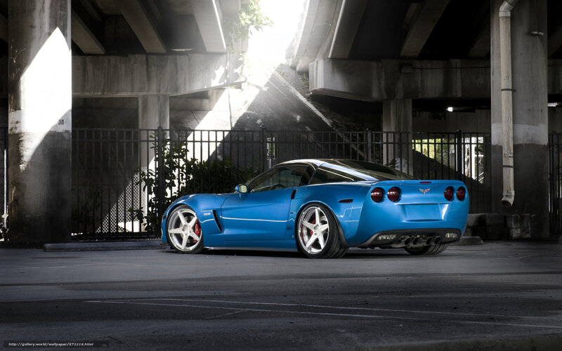 Blue Corvette under overpass