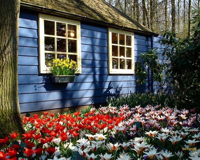 Blue Cottage with Flowers — Serene
