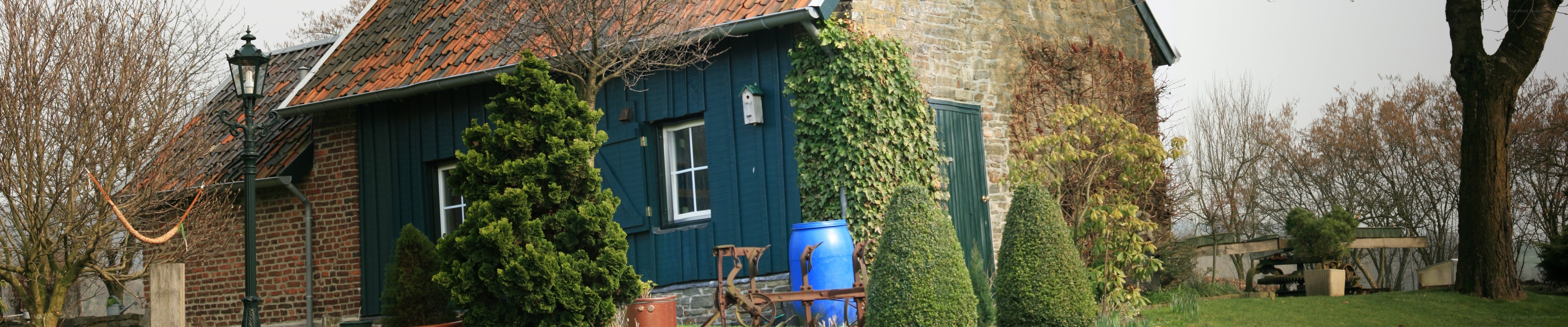 blue cottage with ivy