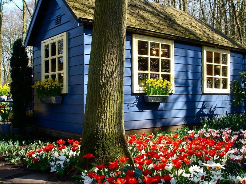 blue cottage with tulips