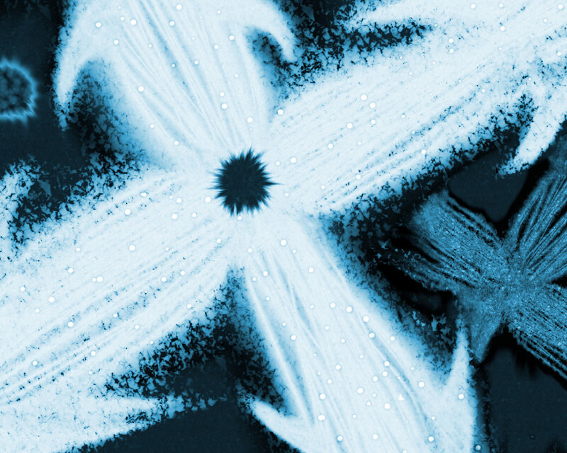 blue crystalline flower pattern