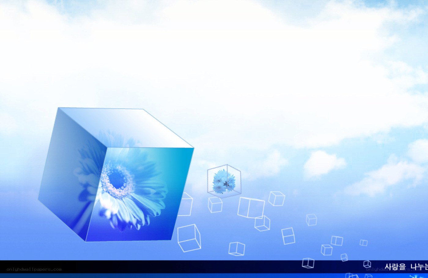 Blue cube with flower image