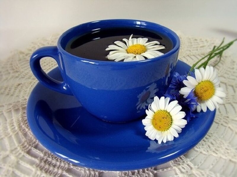 Blue Cup with Chamomile