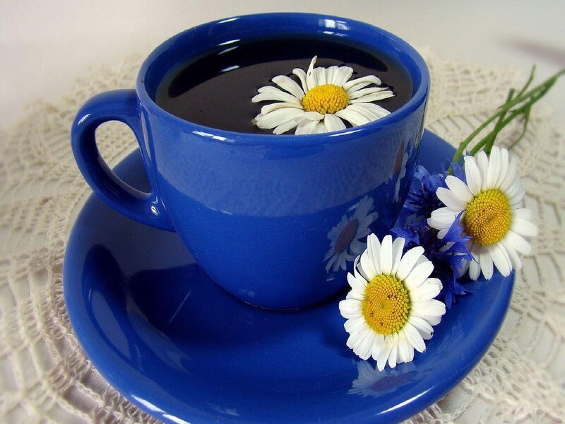 Blue Cup with Daisies — Serene, Morning