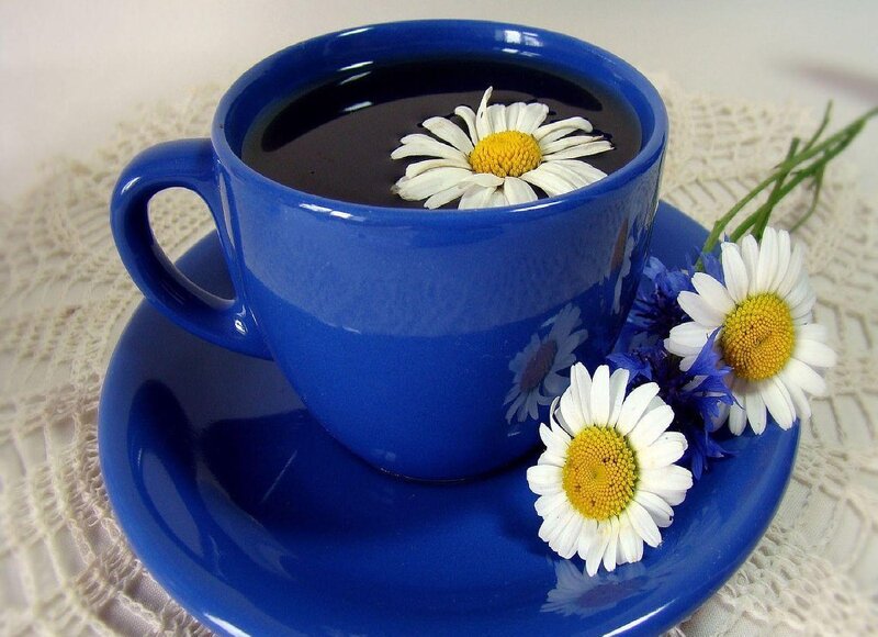 Blue Cup with Daisies — Serene