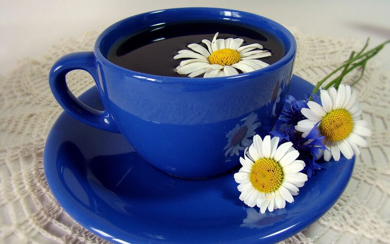 Blue cup with daisies