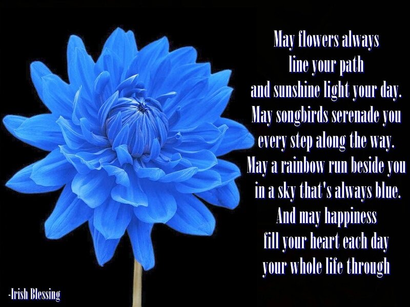 Blue Dahlia Flower — Serene
